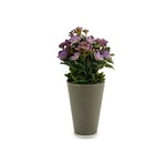 Ibergarden S3605658 Pot de Fleurs en Plastique Gris 13 x 21 x 13 cm