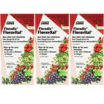 Salus Floravital® Fer + plantes Solution(S) 3x500 ml