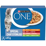 PURINA ONE Chat Stérilisé Effilés en Sauce Saveurs Assortis Poulet Boeuf Saumon et Dinde Sachets Repas pour Chats Adultes 8 x 85 g | Lot de 10