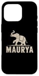 iPhone 16 Pro Maurya Ancient India War Elephant Mauryan Empire Case