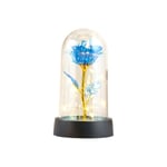 1X(Valentines Day Rose Gift for Her - Galaxy Butterfly Rose in Glass Dome8668