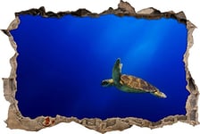 pixxp Rint 3D WD s2682 62 x 42 Belle Tortue dans l'eau percée 3D Sticker Mural Mural en Vinyle, Multicolore, 62 x 42 x 0,02 cm