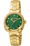 Montre Roberto Cavalli by FM RV1L190M0051 pour Femme Vert en Acier