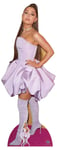 Ariana Grande Celebrity Lifesize and Mini Cardboard Cutout / Standee / Standup