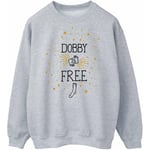 Sweat-shirt Harry Potter  Dobby Is Free