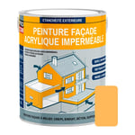 Peinture façade Procom crépi, façade à relief, imperméabilisation et protection des façades - Durable jusqu'à 10 ans Jaune (ral 075 80 50) 2.5 litres