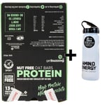 Oat Protein Bars Nut Free Mint Choc 12 x 55g + ON Water Bottle DATED SEP/2022