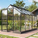 Vitavia Apollo 6200 Växthus Delat Glas Svart - 6,2 m2