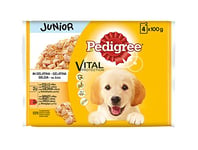 PEDIGREE Lot de 13 Paquets de 4 sachets de Nourriture pour Chien Junior en gélatine, goût Poulet et Riz 100 g