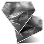 2 x Diamond Stickers 10 cm BW - Anaconda Snake  #42989