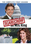 Unbranded SCARECROW & MRS. KING: THE COMPLETE FIRST SEASON