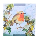 Box of 12 Almanac Watercolour Robins Christmas Cards In 3 Designs Boxed Xmas