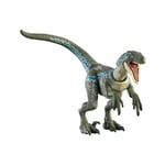 Jurassic Park Hammond Collection - Figurine Velociraptor Blue