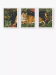 EAST END PRINTS Natural History Museum 'Tiger' Framed Print, Set of 3