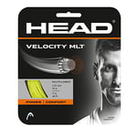 HEAD Velocity MLT Ensemble de Cordes de Tennis Unisexe pour Adulte, Adulte - Mixte, 281404-15LYW, Jaune, 15L