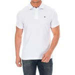 Polo Hackett  HM561798-800