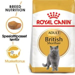 Royal Canin Breed British Shorthair Adult t&oslash;rrf&ocirc;r til katt (10 kg)