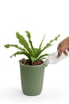 QUALY Oasis QL10307-GN-GY Round Flower Pot with Self-Watering System in Green Size S