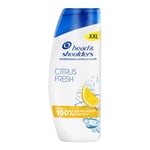 Head & Shoulders Citrus Fresh Shampoing Antipelliculaire Pour Cheveux Gras 625ml. Usage Quotidien. Jusqu'à 100% des Pellicules Éliminées, Cliniquement Prouvé