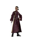 Hasbro Star Wars The Black Series Padmé Amidala Action Figure (6")