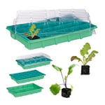 relaxdays Mini Serre d’intérieur 24 Compartiments Couvercle semis terrine Plants Fleurs légumes 38 x 24,5 cm, Vert