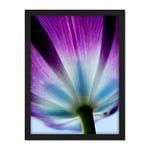 Wee Blue Coo Purple Tulip Flower Bloom Artwork Framed Wall Art Print 18X24 Inch