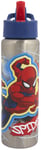 Spider-Man Stainless Steel Water Bottle - 750ml