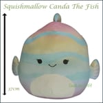 Squishmallows Fish Plush Canda The Rainbow Fish NEW 37cm Squishmallow Cushion