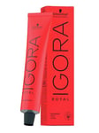 Schwarzkopf Igora Royal 60ml - 6/65 Dark Blonde Chocolate Gold