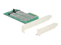 Delock Pci Express Card > 2 X Internal M.2 Key B With Raid - Kontrollerkort - M.2 Card - Låg Profil - Raid Raid 0, 1 - Pcie 2.0 X4