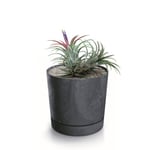 Botle Pot De Fleur Rond Anthracite Plastique Beton Effect Cache Pot 17,5 Cm Decoratif Bac A Plantes Avec Soucoupe Fleurs