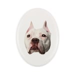 American Pit Bull Terrier, Pit Bull, American Pit Bull Terrier, Pitbull, APBT - geometrisk kakel med foto och inskription av Art-Dog