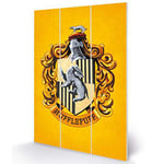 Harry Potter (Colourful Crest Hufflepuff Micro Wood Wall Art