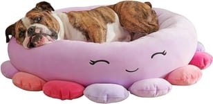 Squishmallows Beula Pieuvre Lit pour Animal Domestique en Peluche Petit Format 50,8 cm