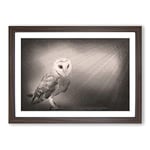 Big Box Art Light Upon The Barn Owl Framed Wall Art Picture Print Ready to Hang, Walnut A2 (62 x 45 cm)