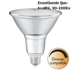 Ledvance dimbar LED spot PAR38 30° 2700K 1035lm E27 15,2W IP65 4099854071270