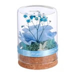 Yardwe Preserved Flower In Glass Dome Everlasting Forever Handmade Rose Galaxy Flower Artificial Flower Bonquets Blue