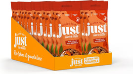 Just Live a Little Gluten Free Maple & Pecan Granola Portion Packs - 24 pack