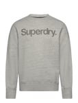 Superdry Core Logo City Loose Crew Grå