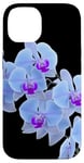 Coque pour iPhone 14 Magnifique orchidée bleue Phalaenopsis en forme de mania