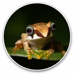 2 x Vinyl Stickers 30cm - Madagascan Tree Frog Madagascar Cool Gift #16054