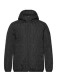 Lindbergh Puffer Jacket W?.Hood Svart