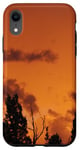 Coque pour iPhone XR Sapins, nuages et ciel ombré orange doré