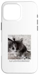 Coque pour iPhone 16 Pro Max evillarry larry chat meme brainrot lobotomisateur mastermind