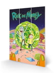 Rick & Morty - Portal - Impression Sur Bois 20x29.5cm