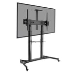 ProperAV Portable Tilting 60 - 100&quot;&quot; TV Trolley Stand - Blac