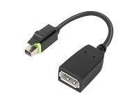 Lenovo - Displayport-Adapter - Mini Displayport (Hane) Till Displayport (Hona) - För Thinkcentre M75t Gen 2  Thinkstation P320  P330  P330 Gen 2  P348  P520  P620  P720  P920