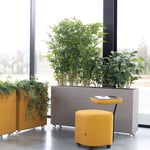 Rumsavdelare Plant Divider - 30 mm ljudabsorbent, Storlek Large, Färg 05 Light Grey, Hjul Svarta