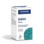 Koliini 750mg