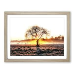 Sunlight Through The Oak Tree In Abstract Modern Art Framed Wall Art Print, Ready to Hang Picture for Living Room Bedroom Home Office Décor, Oak A3 (46 x 34 cm)